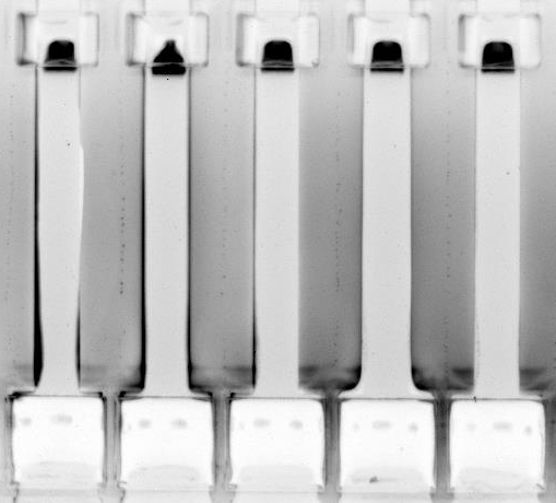 Ranger® Size Selection machine