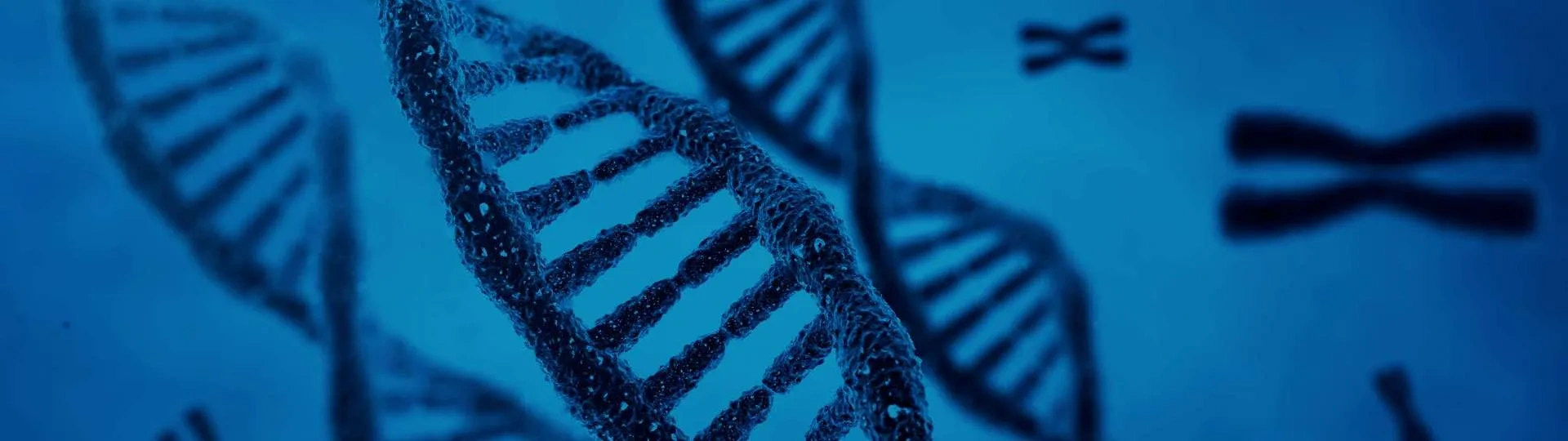 Yourgene Health Services
