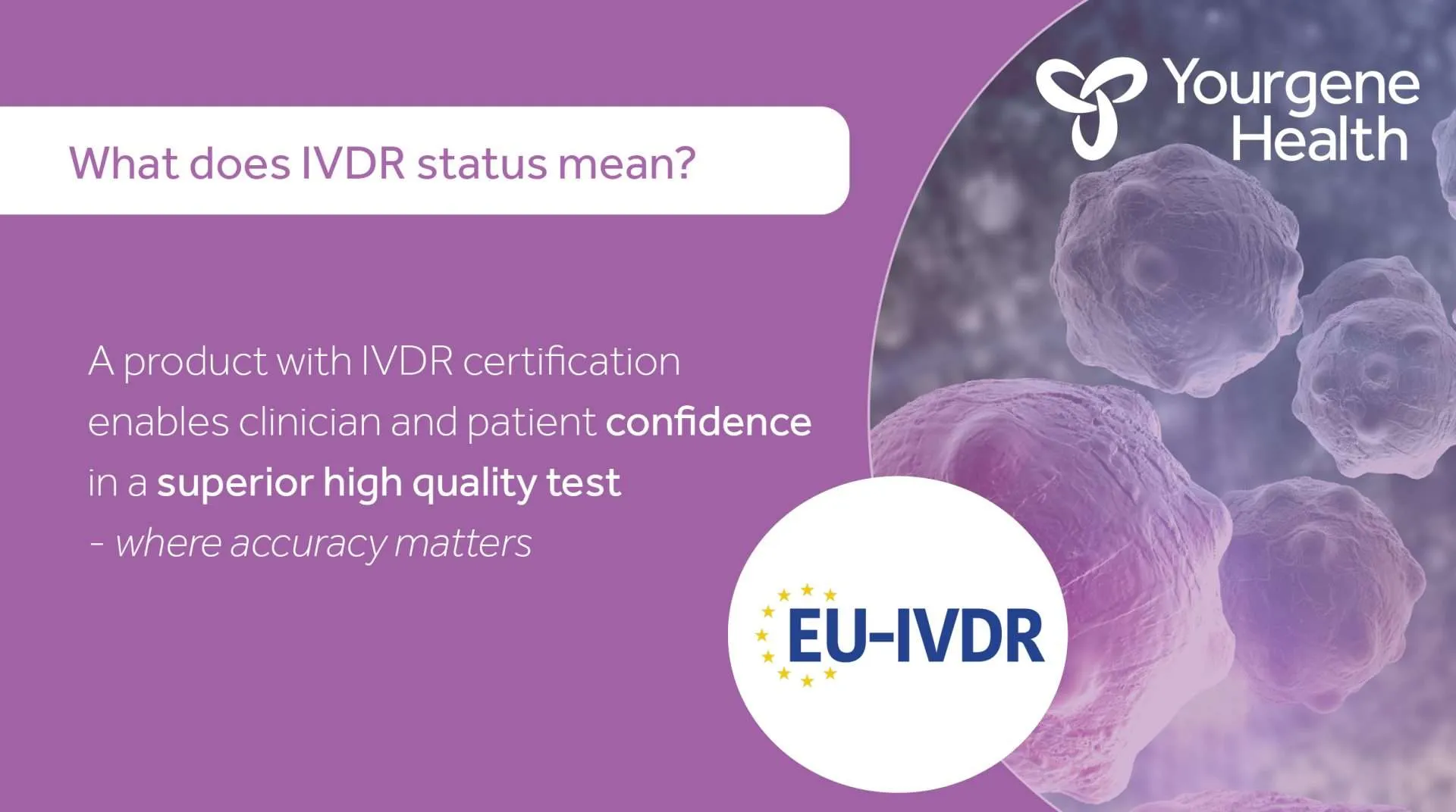 What does IVDR status mean?