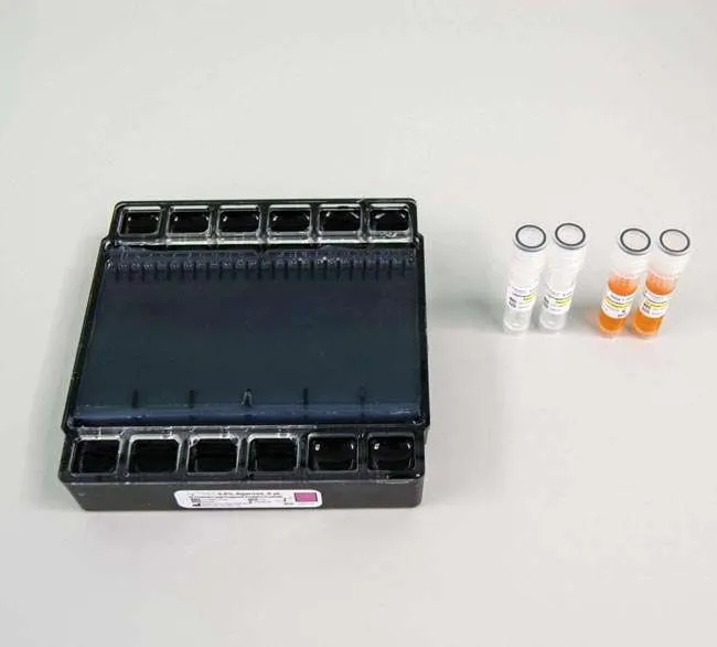 Ranger Analytics Cassette with DNA Ladder