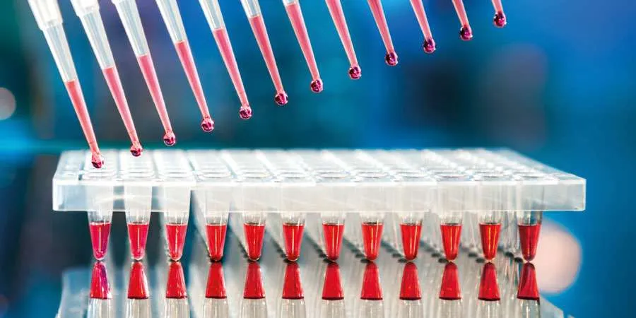 Rapid Aneuploidy Analysis