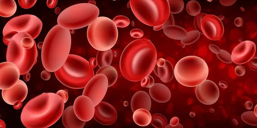 Thrombosis Risk Panel