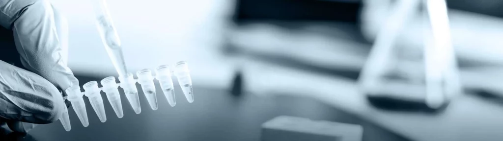Polymerase Chain Reaction (PCR)