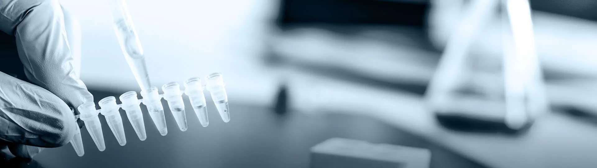 Polymerase Chain Reaction (PCR)