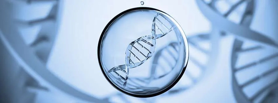 Yourgene Health Extraction Services