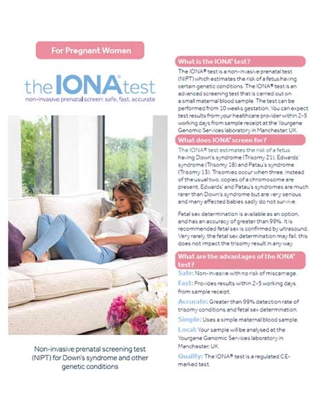 e-87 the iona test flyer with fsd